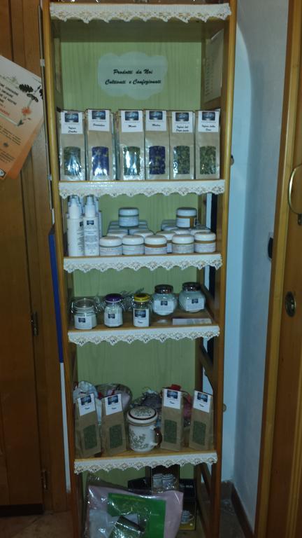 Room & Breakfast Ca Mea Dina Bezzecca Εξωτερικό φωτογραφία